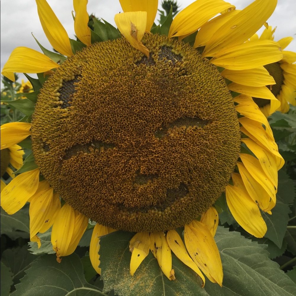 MYSTERY SURPRISE TREAT 💕🎊 with multiple items!